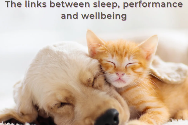 Sleeping for success: The links between sleep, performance and wellbeing